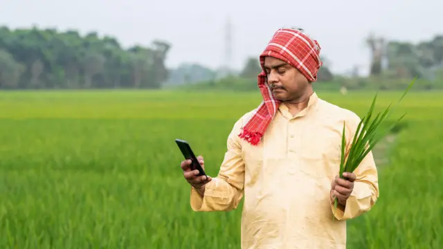 पिक विमा योजनेत मोठा बदल !! पिक विमा भरताना व्यवस्थित करा अर्ज : Pik vima yojana 2024 3 Pik vima yojana 2024
