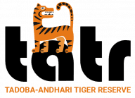 Tadoba Tiger Reserve Chandrapur Bharti 2025